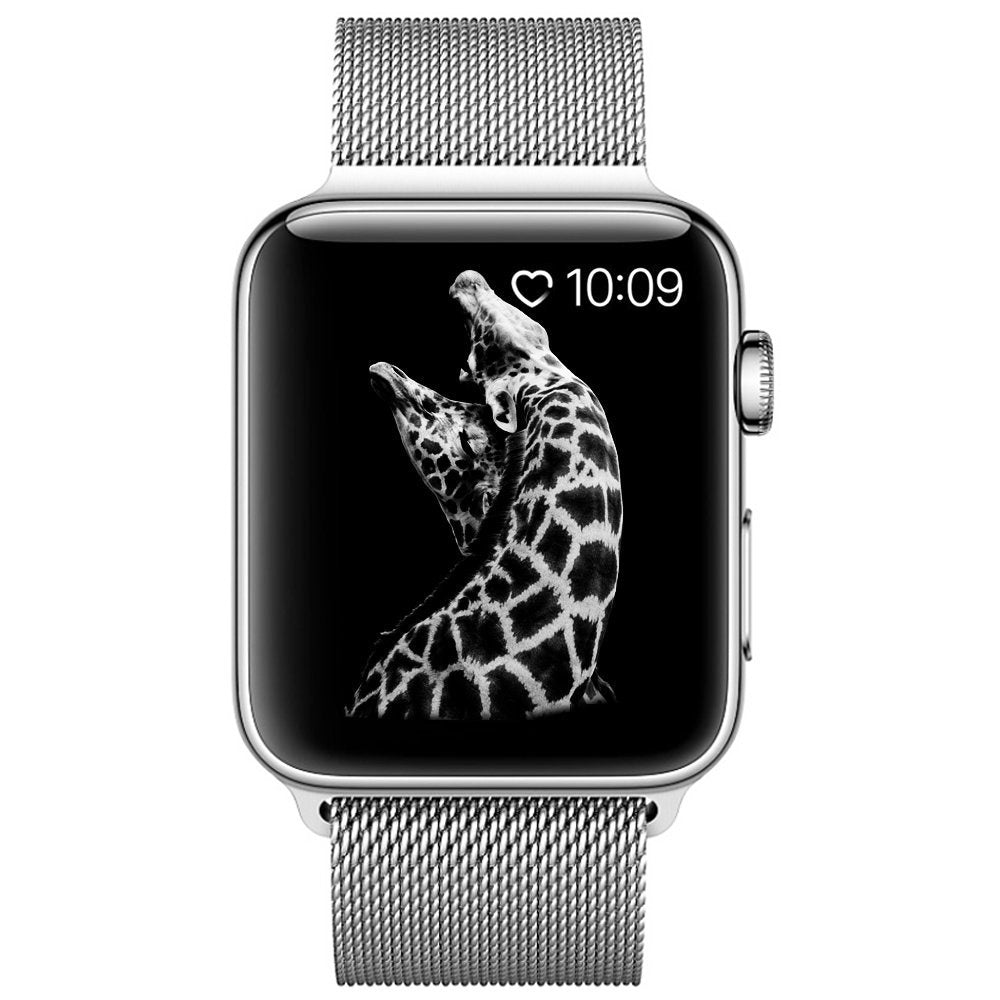 JLT Magnetic Milanese Stainless Steel Watch Band Wrist Strap for Apple Watch Series 9 8 7 6 SE (2023) SE(2022) 40mm 3 2 1 38mm JLT Magnetic Milanese Stainless Steel Watch Band Wrist Strap for Apple Watch Series 9 8 7 6 SE (2023) SE(2022) 40mm 3 2 1 38mm